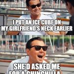 Leonardo Dicaprio Wolf Of Wall Street | I PUT AN ICE CUBE ON MY GIRLFRIEND'S NECK EARLIER; SHE'D ASKED ME FOR A CHINCHILLA... | image tagged in memes,leonardo dicaprio wolf of wall street | made w/ Imgflip meme maker