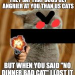 angry cat | THEY SAY THAT DOGS GET ANGRIER AT YOU THAN US CATS; BUT WHEN YOU SAID "NO DINNER BAD CAT" I LOST IT | image tagged in more dumb cat | made w/ Imgflip meme maker