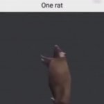 One Rat meme