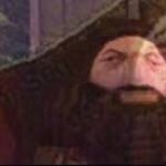 Hagrid thinking meme