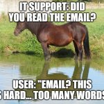 IT Support vs Users | IT SUPPORT: DID YOU READ THE EMAIL? USER: "EMAIL? THIS IS HARD... TOO MANY WORDS" | image tagged in horse in water | made w/ Imgflip meme maker