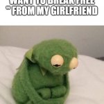 She really want to broke up. | ME AFTER RECEIVING THE MUSIC " I WANT TO BREAK FREE " FROM MY GIRLFRIEND | image tagged in sad kermit,i want to break free,queen,freddie mercury | made w/ Imgflip meme maker