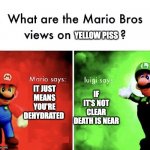 HHHHHMMMMMM | YELLOW PISS; IT JUST MEANS YOU'RE DEHYDRATED; IF IT'S NOT CLEAR DEATH IS NEAR | image tagged in what are the mario bros views on,mario,luigi,super mario bros | made w/ Imgflip meme maker