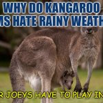 Daily Bad Dad Joke 10/17/2022 | WHY DO KANGAROO MOMS HATE RAINY WEATHER? THEIR JOEYS HAVE TO PLAY INSIDE | image tagged in so long x | made w/ Imgflip meme maker