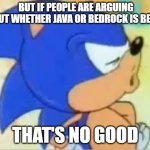 That's no good | BUT IF PEOPLE ARE ARGUING ABOUT WHETHER JAVA OR BEDROCK IS BETTER; THAT'S NO GOOD | image tagged in sonic that's no good | made w/ Imgflip meme maker