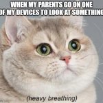Heavy Breathing Cat | WHEN MY PARENTS GO ON ONE OF MY DEVICES TO LOOK AT SOMETHING | image tagged in memes,heavy breathing cat | made w/ Imgflip meme maker