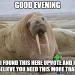 very kind walrus | GOOD EVENING; I FOUND THIS HERE UPVOTE AND I DO BELIEVE YOU NEED THIS MORE THAN ME | image tagged in walrus,upvotes | made w/ Imgflip meme maker