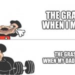 Facts | THE GRASS WHEN I MOW; THE GRASS WHEN MY DAD MOWS | image tagged in mickey mouse drake | made w/ Imgflip meme maker