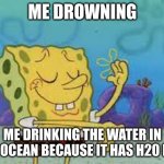 its to easy | ME DROWNING; ME DRINKING THE WATER IN THE OCEAN BECAUSE IT HAS H20 IN IT | image tagged in its to easy,funny,fun,trending,you think this is funny | made w/ Imgflip meme maker
