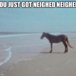 You just got neighed neighed | YOU JUST GOT NEIGHED NEIGHED | image tagged in horse on beach man | made w/ Imgflip meme maker