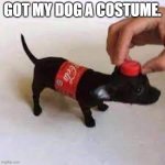 My coke dog | GOT MY DOG A COSTUME. | image tagged in coke dog | made w/ Imgflip meme maker