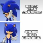 sonic hotline bling | SPRIGATITO NEEDS TO STAY ON ALL FOURS; SPRIGATITO NEEDS TO BECOME BIPEDAL | image tagged in sonic hotline bling | made w/ Imgflip meme maker