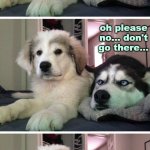 Dog bad joke | The past, present, & future walked into a bar... oh please no... don't go there... IT WAS TENSE!!! | image tagged in dog bad joke | made w/ Imgflip meme maker