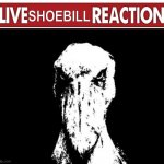 Live Shoebill Reaction