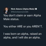 Nick Adams Alpha Male