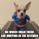 i like muffins | ME WHEN I HEAR THERE ARE MUFFINS IN THE KITCHEN | image tagged in gifs,animals | made w/ Imgflip video-to-gif maker