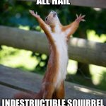 Squirrel is indestructible | ALL HAIL; INDESTRUCTIBLE SQUIRREL | image tagged in all hail,indestructible balloon | made w/ Imgflip meme maker