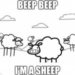 Beep beep, I'm a sheep | BEEP BEEP; I'M A SHEEP | image tagged in beep beep,memes,asdfmovie,funny,relatable,relateable | made w/ Imgflip meme maker