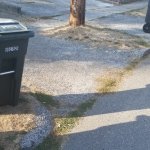 trash can penis shadow