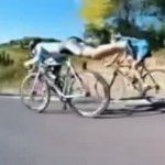 Cyclist using physics meme