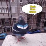 pigeon slavic pigeon | Slavic
Lives
Matter | image tagged in pigeon slavic pigeon,slavic | made w/ Imgflip meme maker