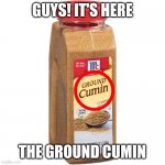 The ground is cumming | GUYS! IT'S HERE; THE GROUND CUMIN | image tagged in ground cumin | made w/ Imgflip meme maker