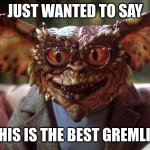 Gremlin  | JUST WANTED TO SAY; THIS IS THE BEST GREMLIN | image tagged in gremlin | made w/ Imgflip meme maker