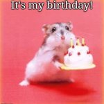 It's my birthday! | It's my birthday! | image tagged in birthday hamster | made w/ Imgflip meme maker