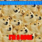 Multi Doge | RRRRRRRUUUUUUUUUUFFFFFFFFFFFFFFFFFFF; I'M A DOGE | image tagged in memes,multi doge | made w/ Imgflip meme maker