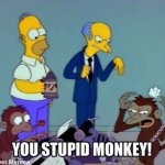 you stupid monkey