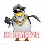 No Femboy Penguin meme