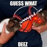 Guess what | GUESS WHAT; DEEZ | image tagged in guniea pigs | made w/ Imgflip meme maker
