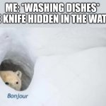 Guten tag | ME: *WASHING DISHES*

THE KNIFE HIDDEN IN THE WATER: | image tagged in bonjur | made w/ Imgflip meme maker