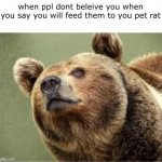 mmmm hmmm | when ppl dont beleive you when you say you will feed them to you pet rat | image tagged in memes,smug bear | made w/ Imgflip meme maker