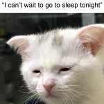 I wanna sleep | Me at 6 am: *opens eyes*; “I can’t wait to go to sleep tonight” | image tagged in i'm awake but at what cost,memes,funny,sleep,relatable memes,true story | made w/ Imgflip meme maker