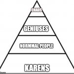 new person status | CHADS; GENIUSES; NORMMAL PEOPLE; KARENS | image tagged in food pyramid | made w/ Imgflip meme maker