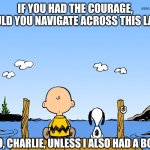 Charlie brown  | IF YOU HAD THE COURAGE, WOULD YOU NAVIGATE ACROSS THIS LAKE? NO, CHARLIE, UNLESS I ALSO HAD A BOAT. | image tagged in charlie brown | made w/ Imgflip meme maker