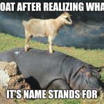 When you realize what your name stands for. | GOAT AFTER REALIZING WHAT; IT'S NAME STANDS FOR | image tagged in goat | made w/ Imgflip meme maker