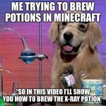 I Have No Idea What I Am Doing Dog | ME TRYING TO BREW POTIONS IN MINECRAFT; “SO IN THIS VIDEO I’LL SHOW YOU HOW TO BREW THE X-RAY POTION” | image tagged in memes,i have no idea what i am doing dog | made w/ Imgflip meme maker