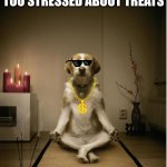 dog meditation funny | WHEN YOUR DOG GETS TOO STRESSED ABOUT TREATS; (DON'T DISTURB HIM) | image tagged in dog meditation funny | made w/ Imgflip meme maker
