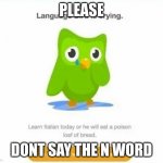 Duolingo bird | PLEASE; DONT SAY THE N-WORD | image tagged in duolingo bird | made w/ Imgflip meme maker