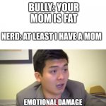 ._____. | BULLY: YOUR MOM IS FAT; NERD: AT LEAST I HAVE A MOM | image tagged in emotions,emotional damage,roasted,bully,nerd | made w/ Imgflip meme maker