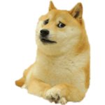 Sad doge Meme Generator - Imgflip