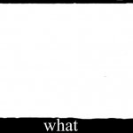 Wait what blank meme template | image tagged in wait what blank meme template | made w/ Imgflip meme maker