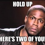 Kevin Hart | HOLD UP; THERE'S TWO OF YOU!? | image tagged in kevin hart | made w/ Imgflip meme maker
