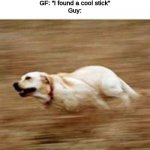 Speedy doggo | GF: "Wanna come over?"
Guy: "Can't"
GF: "I found a cool stick"
Guy: | image tagged in speedy doggo,memes,funny memes | made w/ Imgflip meme maker