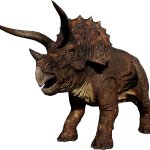Triceratops 3