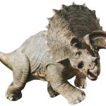 Triceratops 4