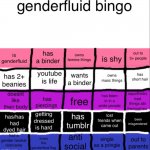 genderfluid bingo meme