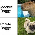 Two of the internets most beloved animals. You love to see 'em. | Coconut Doggy; Potato Doggy | image tagged in basic four panel meme,capybara,what the dog doin,dogs | made w/ Imgflip meme maker